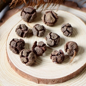 Set of 10 natural dried wood cones for Christmas wreaths and DIY floral home decorations