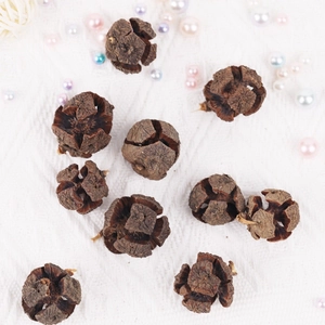 Macro detail of 10 natural dried cypress cones on a white textured background with pearls