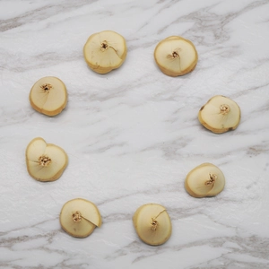 Macro shot of 8 natural wooden flower slices with radial textures on white marble