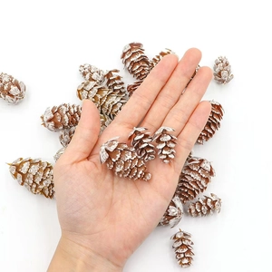 Macro view of snow-covered natural pine cones in various sizes for Christmas decoration
