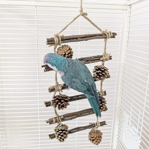 Natural wood bird climbing ladder with pine cones for parrots cage decoration