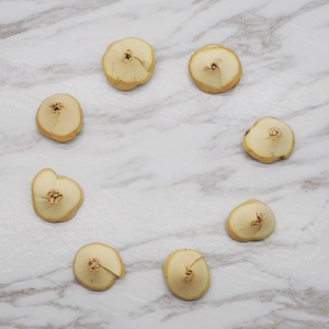 Natural dried willow wood curls arranged in a circle on white marble background for DIY crafts