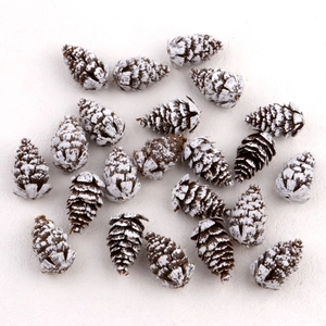 Set of natural pine cones with white tips for Christmas DIY and winter home decoration