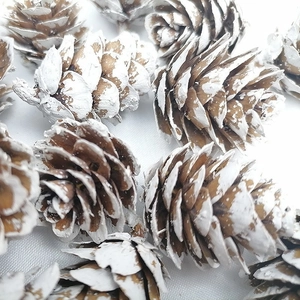 Mini natural snow-tipped pine cones for Christmas DIY decor and winter ornaments