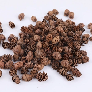 Natural Dried Small Pine Cones 1kg Pack For Christmas DIY Craft Decorations Home Ornament Rustic Autumn Pinecone Ornaments