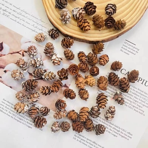 Natural small pine cones set with artificial snow for DIY Christmas decorations