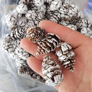 Handheld view of frosted decorative pine cones with white snow spray for Christmas DIY crafts