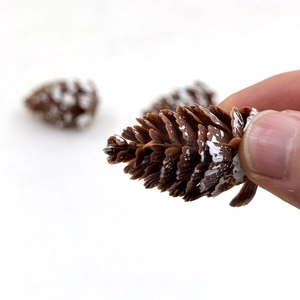 Miniature white frosted pine cones for Christmas DIY crafts and festive home decoration