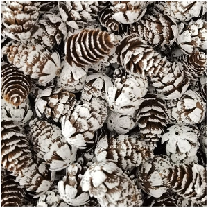 Artificial white tipped pine cones for Christmas decor and DIY creative handcrafts
