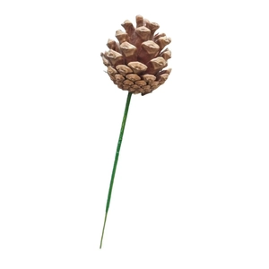 Natural dried pine cone decoration with green wire stem for Christmas wreath and floral design