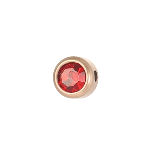Dettaglio del ciondolo pietra portafortuna in acciaio oro rosa con cristallo rosso