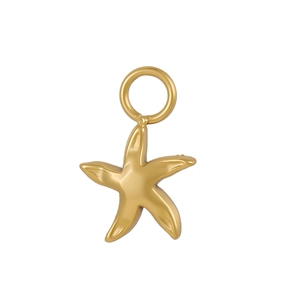 Nahaufnahme des polierten goldenen Seestern-Anhängers mit Metallfinish und Verbindungsring