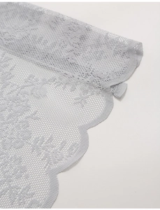 Macro shot of French lace curtain featuring delicate rose embroidery and scalloped edges