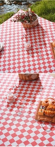Close-up of classic red and white checkered picnic mat on green grass by the water