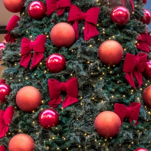 Red velvet Christmas bows and ornaments set on tree with warm lights decoration