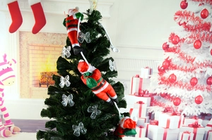 Detailed view of three Santa Claus climbing on a white rope hanging on a green Christmas tree