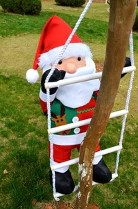 Outdoor view of Santa Claus climbing a white rope ladder hanging on a tree trunk