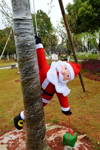 Close-up of climbing Santa Claus ornament with green gift box on a tree trunk