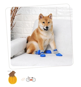 Detail view of non-slip blue rubber soles and grey knit pet socks on a Shiba Inu's rear paws