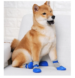Blue and grey anti-slip dog socks with rubber soles and adjustable straps on a Shiba Inu