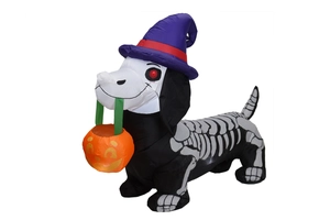 Détail du teckel gonflable squelette avec chapeau de sorcier et panier citrouille