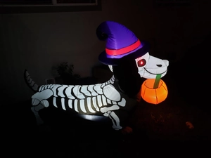 Vue nocturne du teckel squelette gonflable de 1,5m avec lumières LED et citrouille