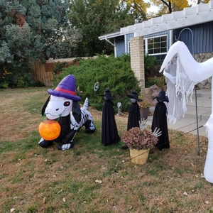Teckel squelette gonflable Halloween de 1,5m avec LED et fantômes pour décor de jardin