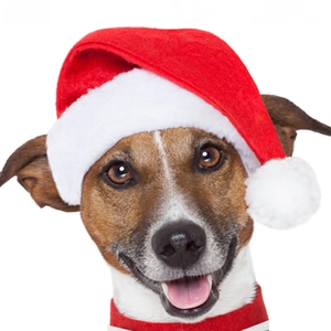 Bonnet de Noël rouge classique pour chiens et chats avec pompon blanc sur blanc