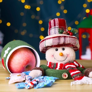 Pot cadeau bonhomme de neige en peluche avec seau de Noël et boîte à bonbons festive