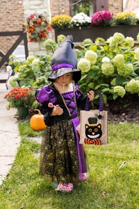 Girl witch costume set with purple mesh dress, pointed hat and black cat gift bag