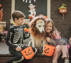 Kids and dog with orange pumpkin candy buckets for Halloween outdoor celebration