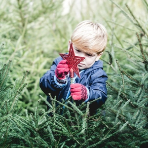 Close-up of a child holding a red glitter star topper against a green pine tree background