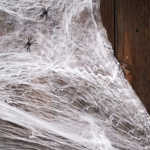 Detailed view of white artificial fiber spider web with two black plastic spiders for Halloween