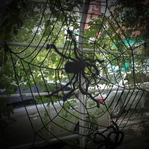 Macro view of a giant black fuzzy spider toy with a large web on an outdoor fence