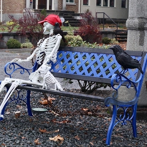 Realistic Halloween skeleton on blue bench with two black crows and red baseball cap