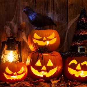 Halloween decor set with lighted pumpkins, realistic black crow, spider, and vintage lantern