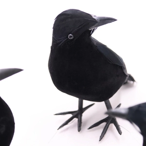 Macro shot of realistic black flocked crow with detailed feathers for Halloween decoration