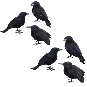 Detailed view of six lifelike black feathered crows for Halloween spooky decoration