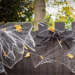 Outdoor Halloween decoration featuring a large plush black spider and white stretchy spider web