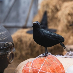 Realistic black feathered crow prop standing on a pumpkin for Halloween decoration