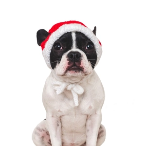 Bonnet de Noël en tricot rouge et blanc avec pompon pour chats et petits chiens