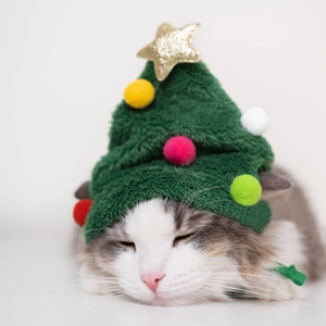 Close-up of green plush Christmas tree hat for pets with colorful pom-poms and gold star