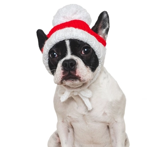 Bonnet de Noël tricoté pour chiens et chats avec pompon rouge et blanc festif