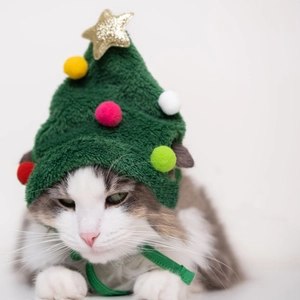 Close-up of green plush Christmas tree hat for pets with colorful pom-poms and a gold star