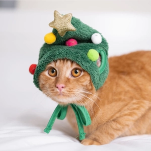 Close-up of a green plush Christmas tree hat for cats with colorful pom-poms and a gold star