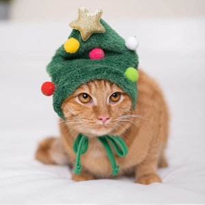 Close-up of a festive green Christmas tree pet hat with colorful pompoms on a ginger cat