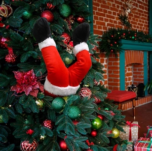 Creative Santa Claus elf legs sticking out of a Christmas tree with festive fireplace decor