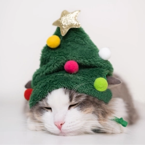 Christmas Pet Hat Bib Set Green Red Christmas Tree Star Pom Poms Reindeer Santa Cat Dog Puppy Holiday Costume Accessory