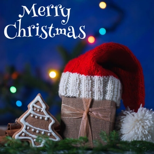 Knitted Christmas Hat With Pompom Classic Red White Warm Winter Beanie For Adult Kids Holiday Party Home Decor Festive Cap