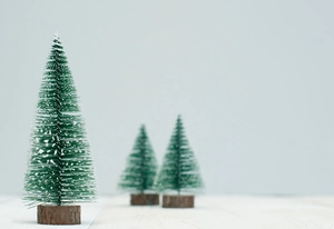 Detailed view of three mini artificial cedar trees with faux snow and wooden bases